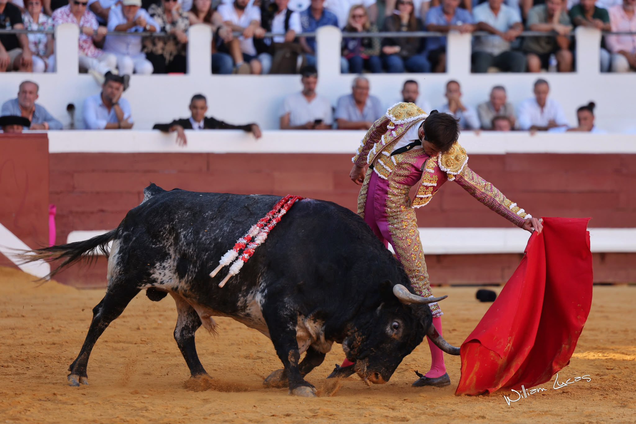 Navalón pone el mando en una tarde sin trofeos en Dax