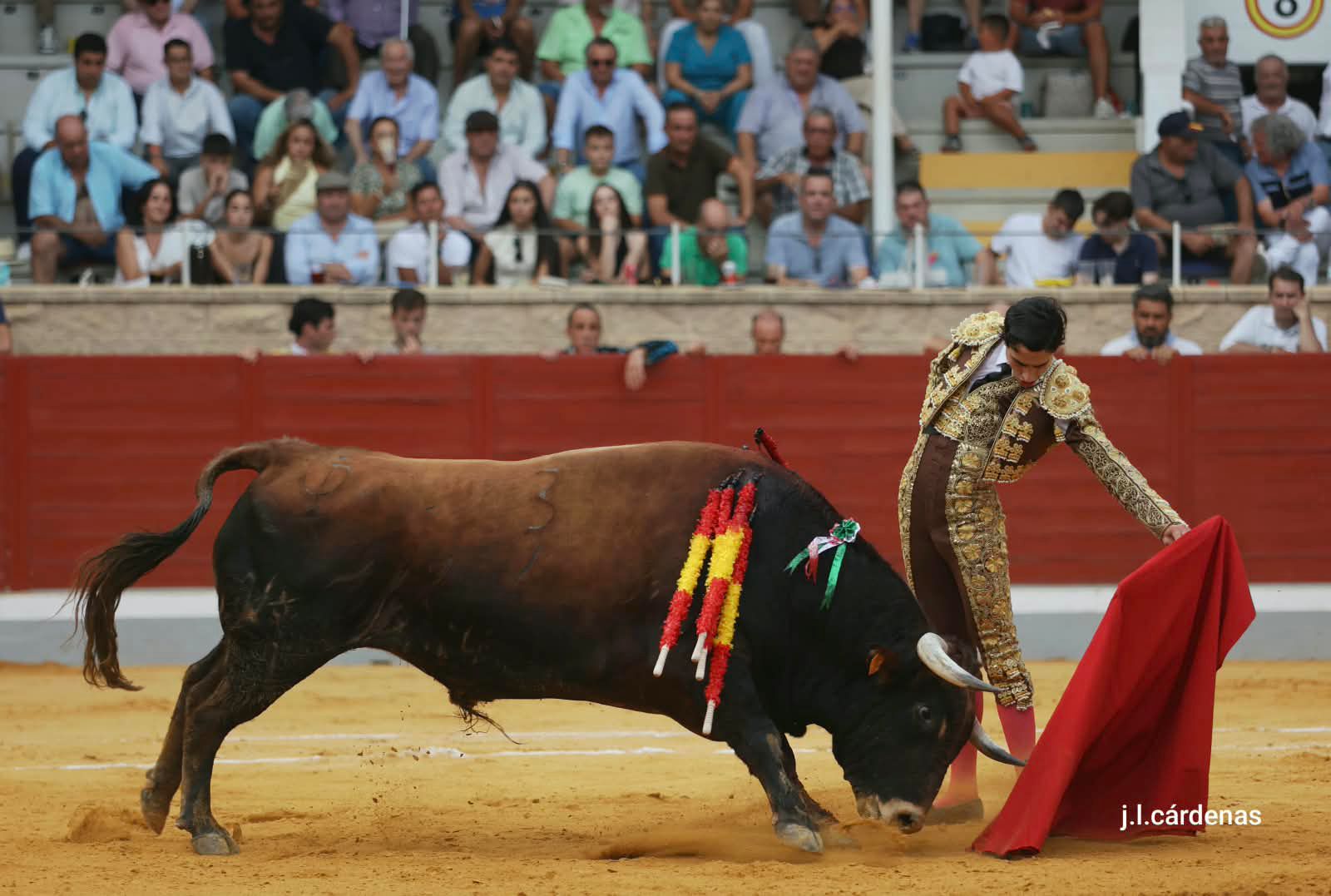 Más disposición que opciones en una tarde de escaso fondo ganadero