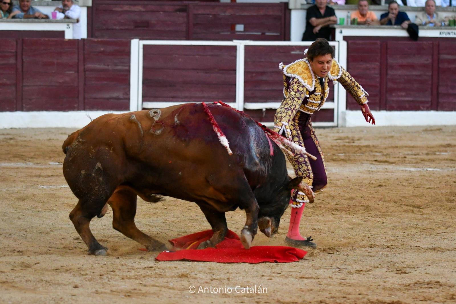 Roca Rey sufre un varetazo en el muslo derecho con afectación de la escotadura ciática y pronóstico reservado