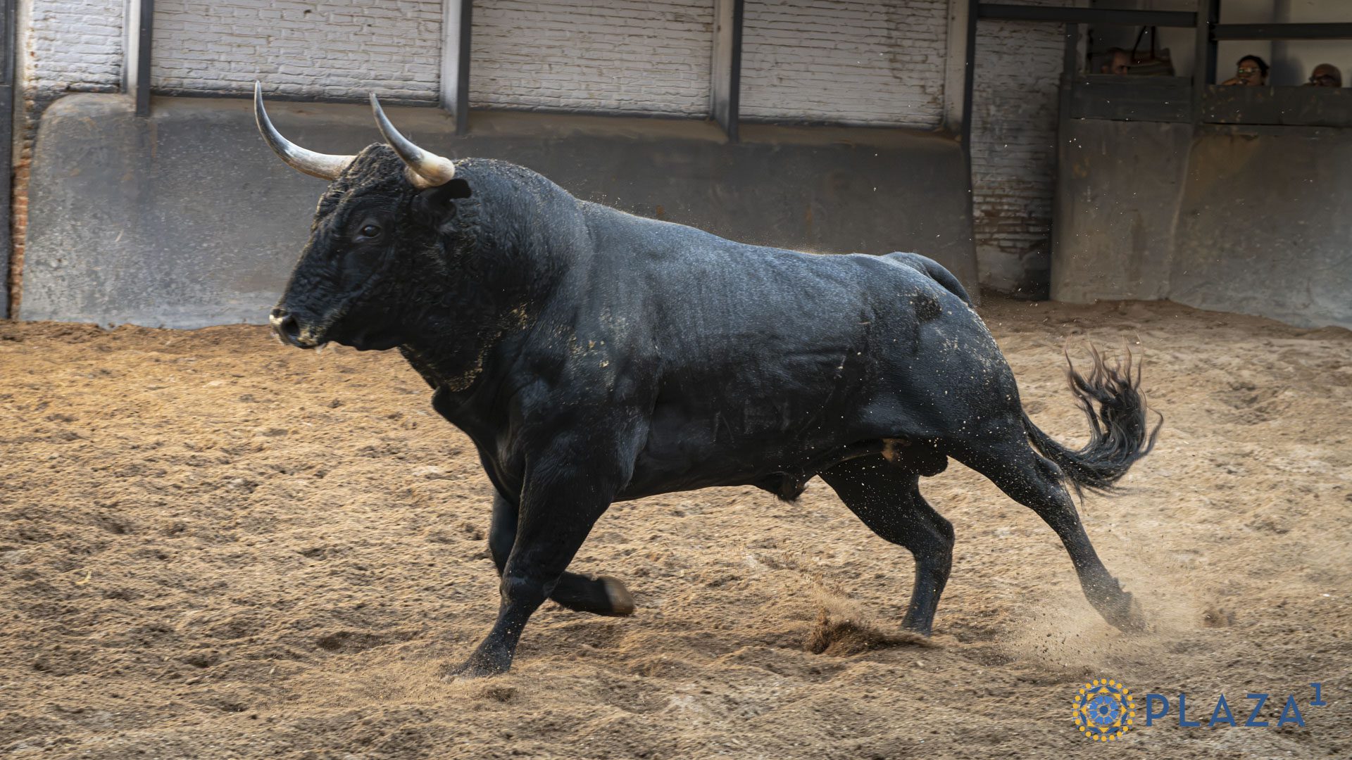 Hechicero, primero de Valdellán