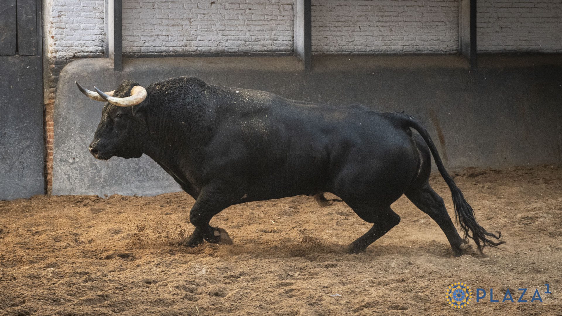 Gañanito, cuarto de Juan Luis Fraile
