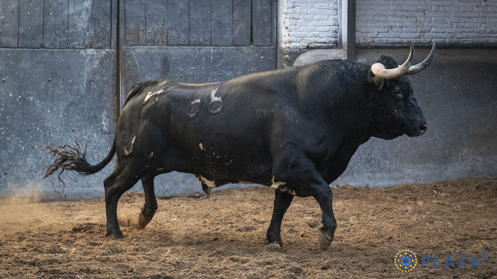 Garbancito, segundo de Juan Luis Fraile
