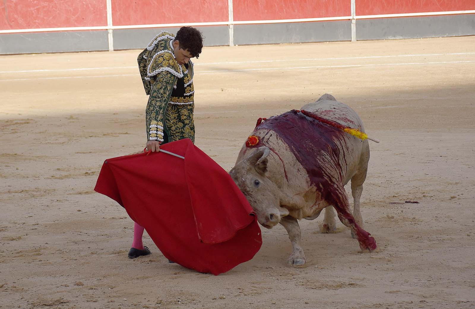 Mariscal Ruiz se queda a las puertas del premio en una áspera tarde de Calasparra