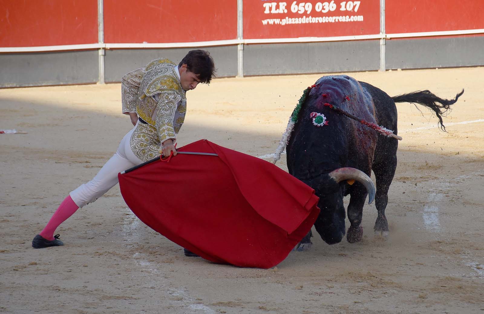 Julio Romero da una vuelta en Calasparra en una novillada sin premio por la espada