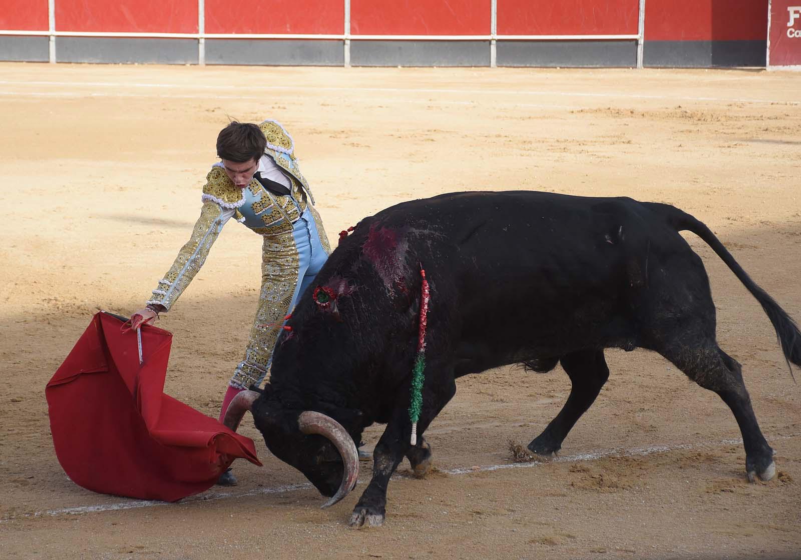 Vilau toca pelo y Aparicio reaparece con raza en una dura novillada de Aldeanueva