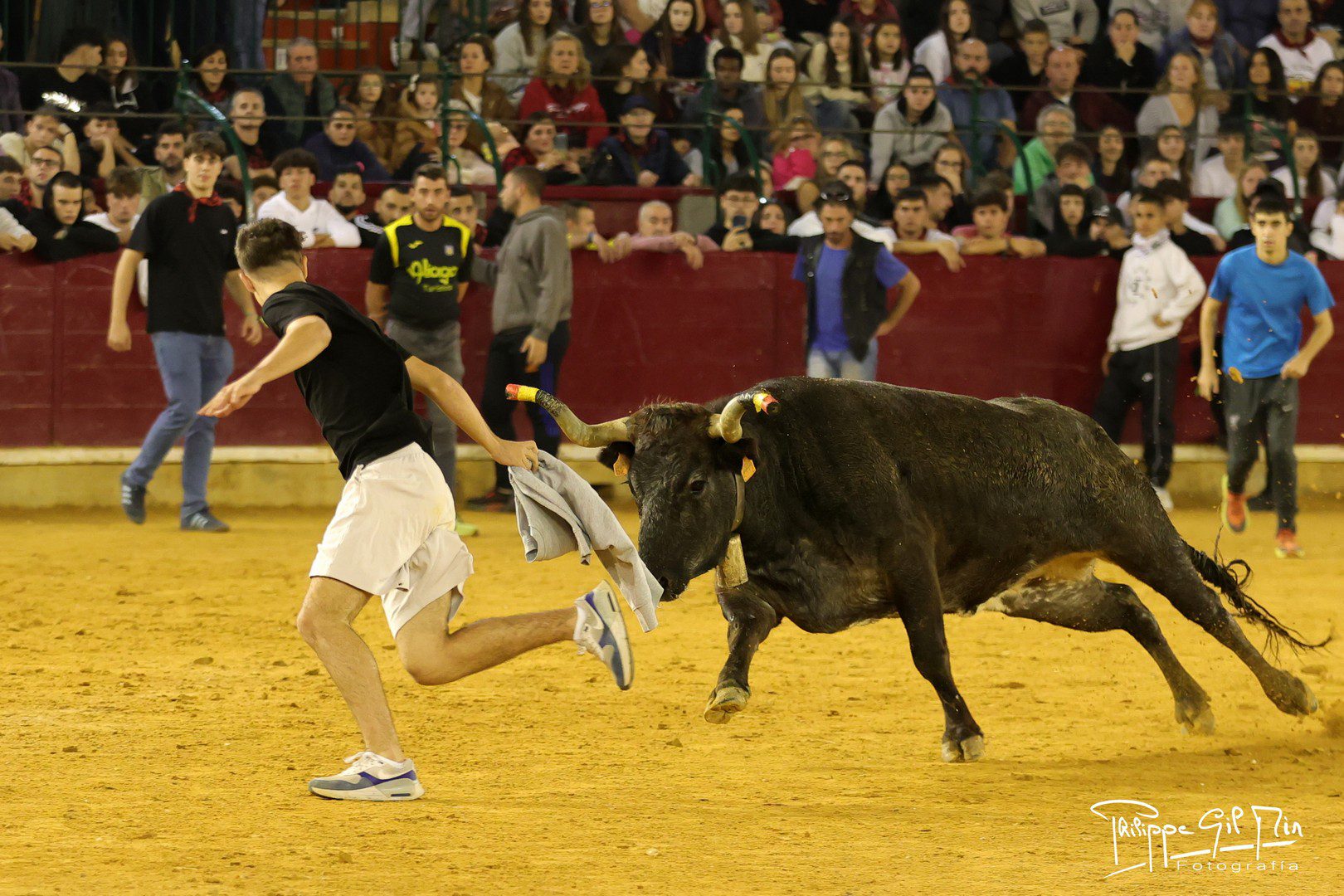 Las Vaquillas del Pilar sí se verán en Aragón TV tras desbloquearse el acuerdo con Conphia Urbana