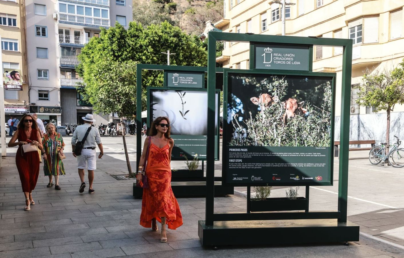 ‘Toro Bravo, el guardián de la biodiversidad’ supera las 415.000 personas en cuatro ciudades