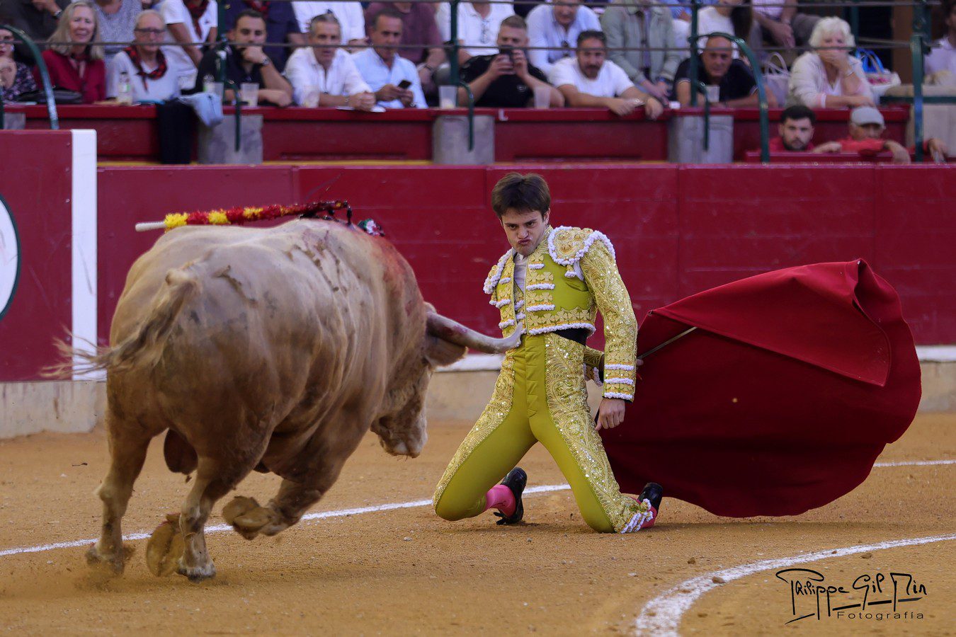Cristiano Torres vuelve a Zaragoza un año después de su alternativa y tras salir a hombros en ocho de sus nueve corridas