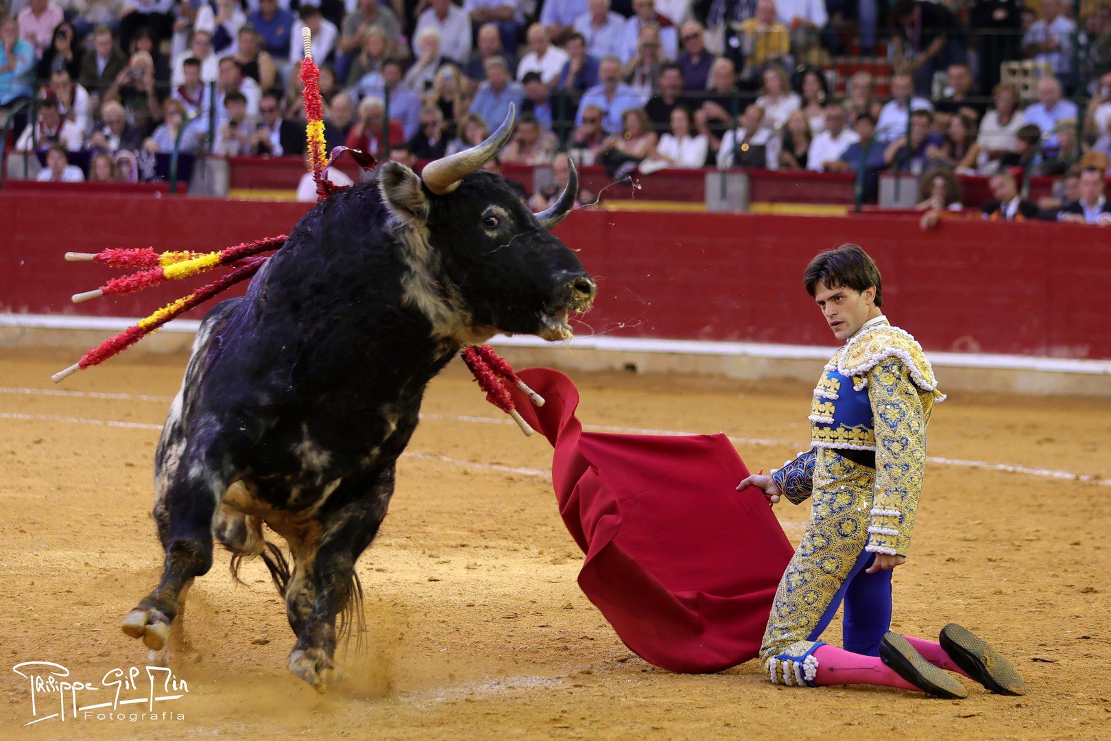 Cristiano Torres, triunfador del Pilar 2026 y autor de la mejor faena de la feria