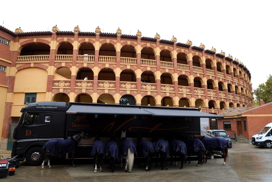 Toros en los corrales de La Misericordia