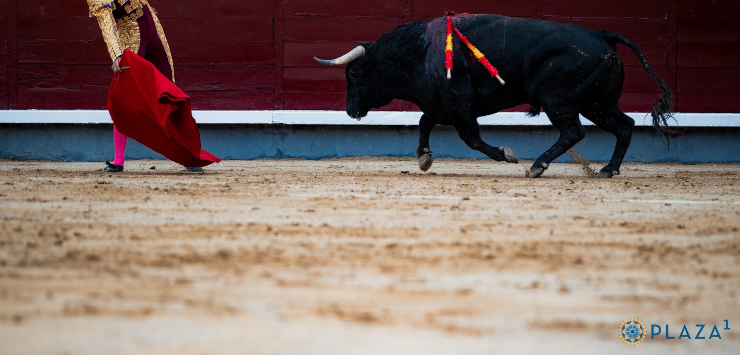 Feria de Otoño