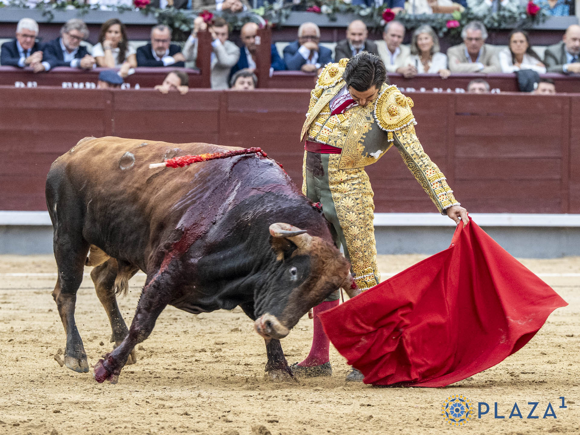 Morante de la Puebla, Héctor Gutiérrez y Aarón Palacio, ante una tarde de escasas opciones con toros de Garcigrande y Núñez del Cuvillo
