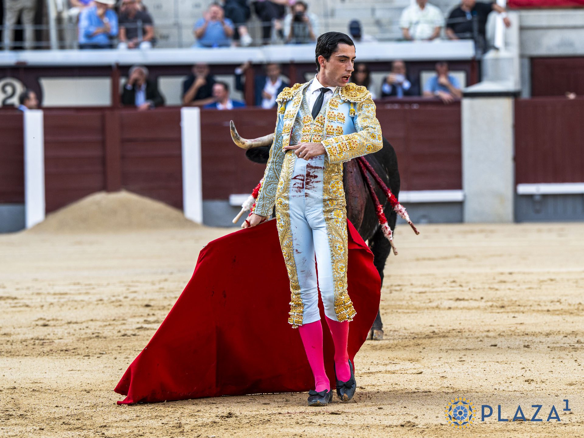 Sergio Rollón en Las Ventas