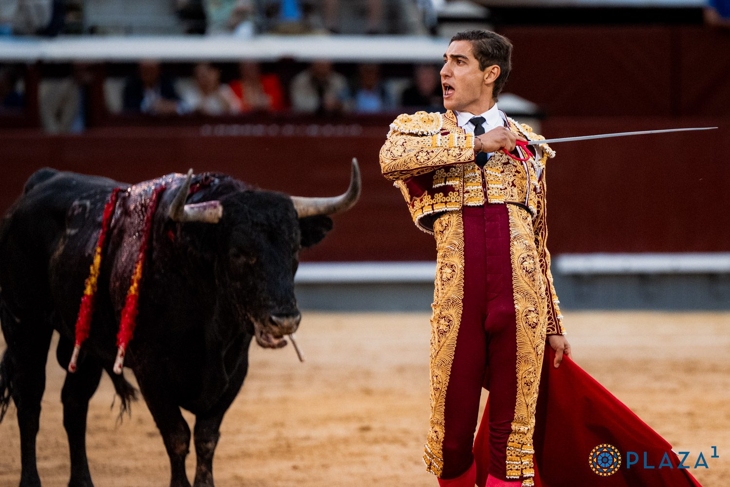 Nacho Torrejón en Las Ventas