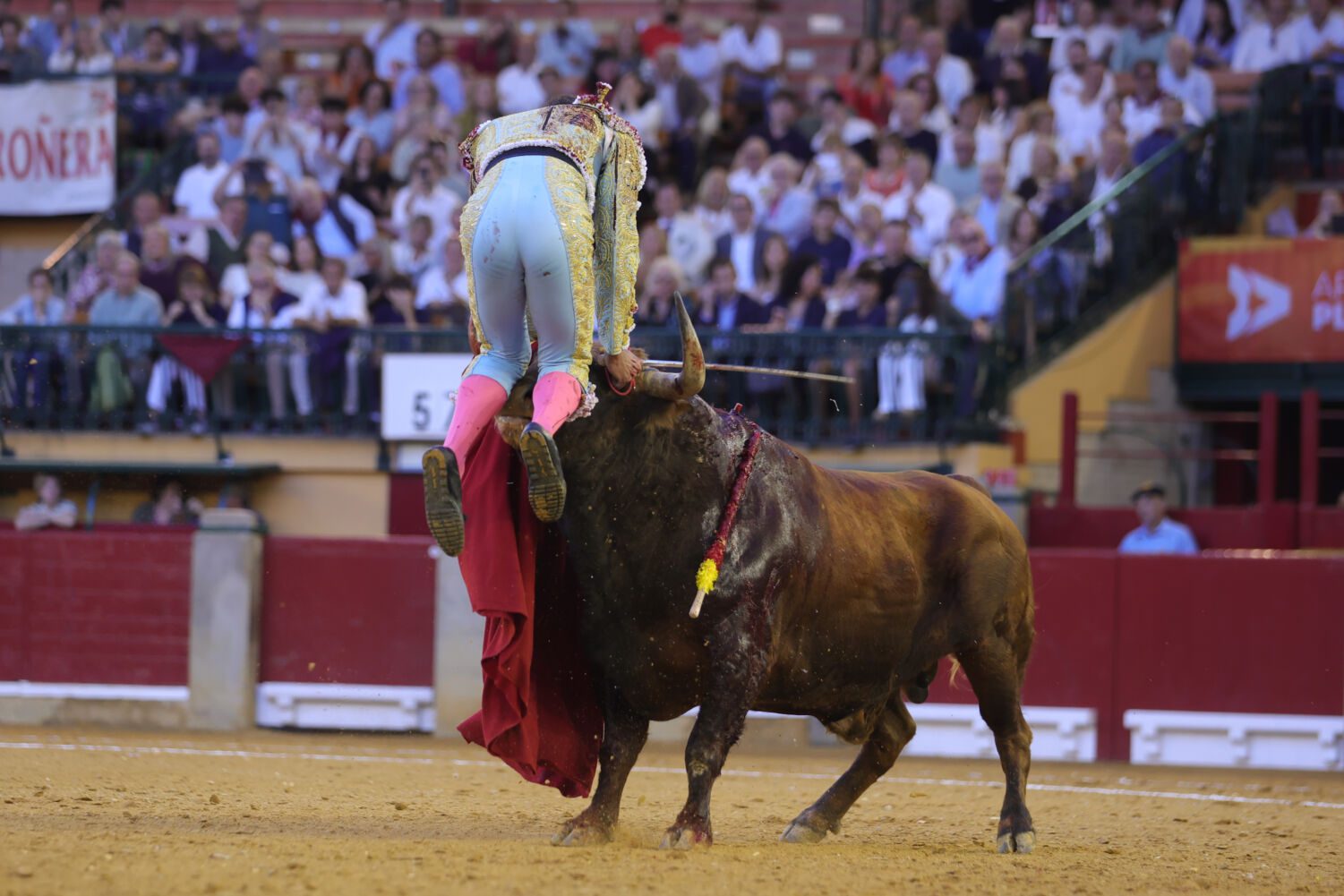 David de Miranda recibe el alta hospitalaria tras dos fuertes volteretas en Zaragoza