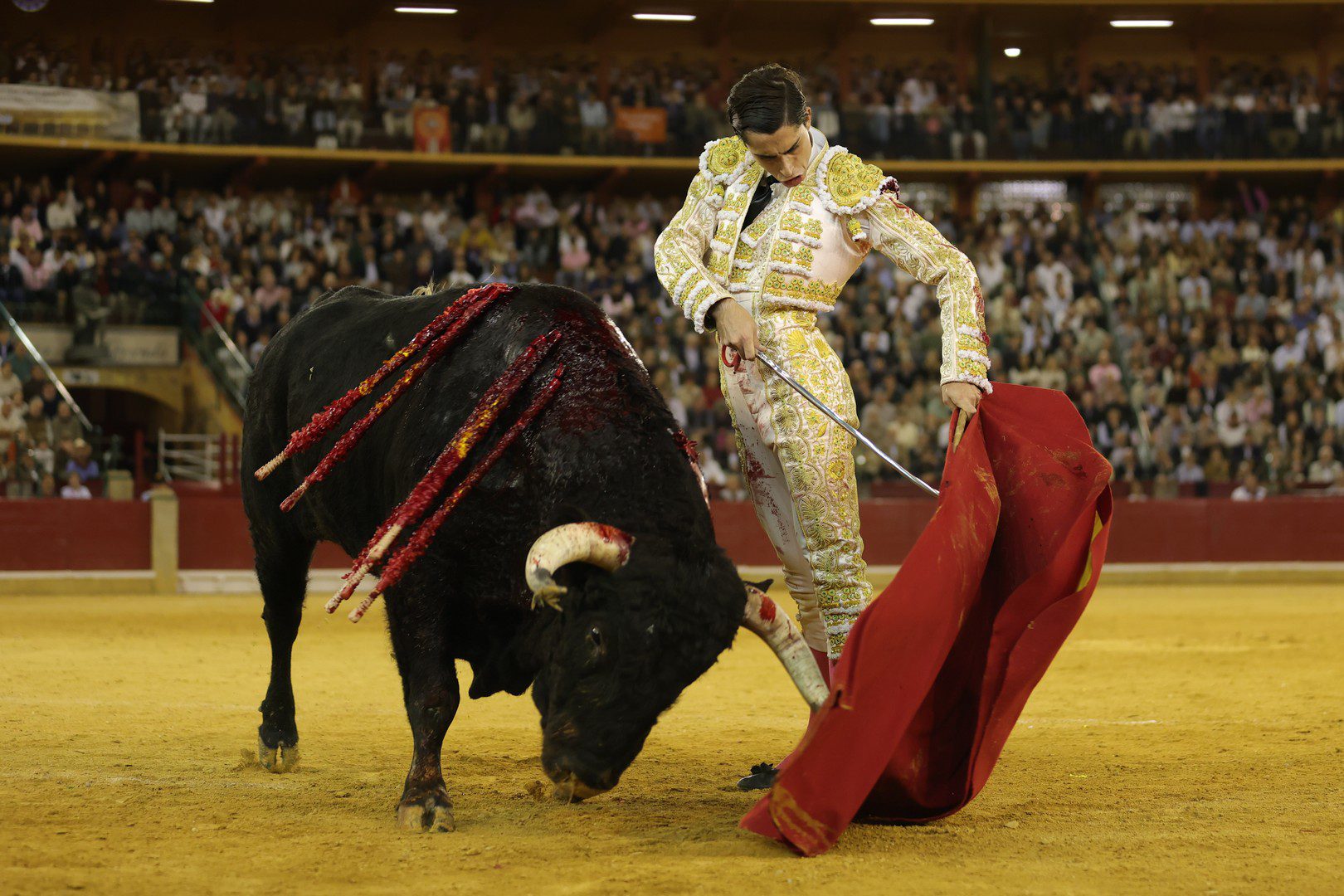 El Mene aprueba con nota entre los restos de una corrida hecha a retales