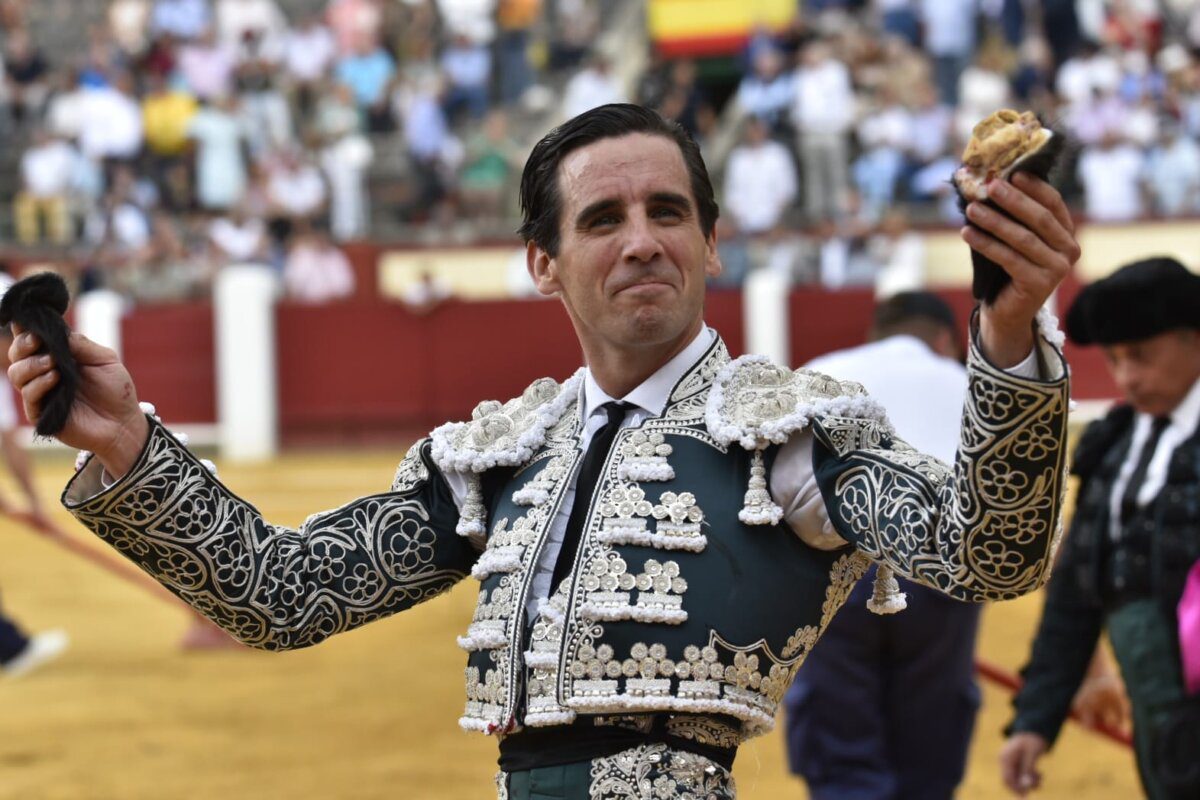 Juan Ortega clausurará en Toledo un seminario pionero sobre ganadería y economía taurina
