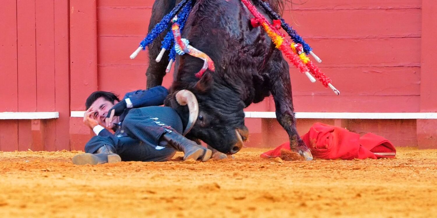 Talavante, herido en Sevilla: cornada de 10 centímetros en el muslo derecho