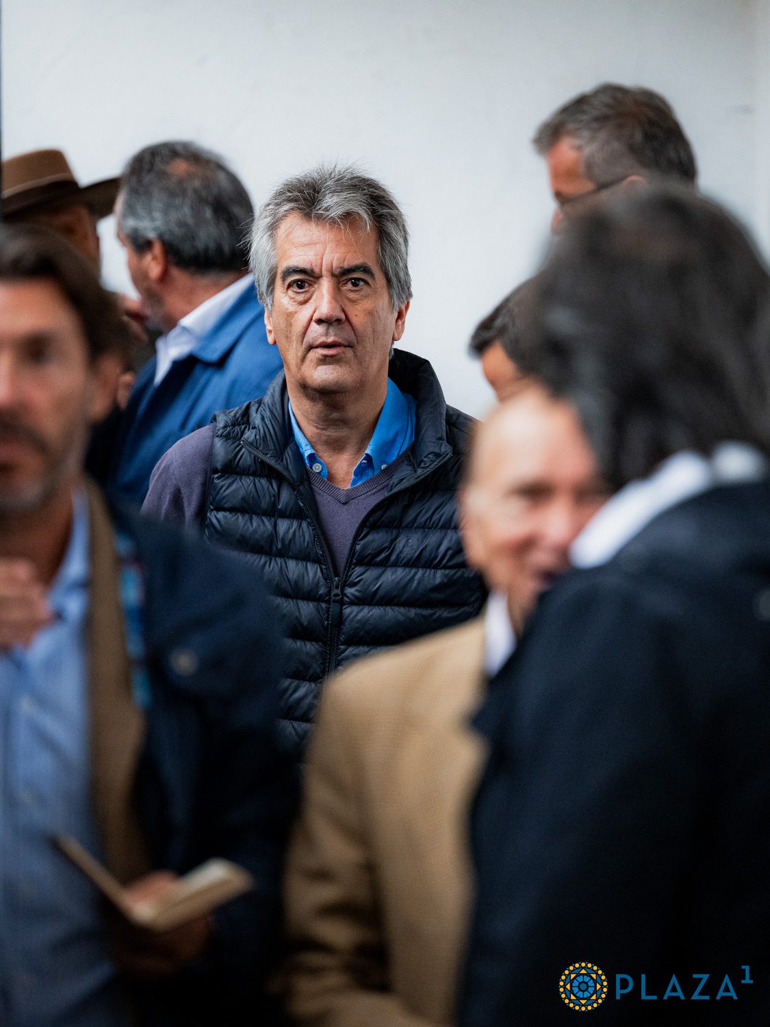 Toros de Alcurrucén en los corrales de Las Ventas