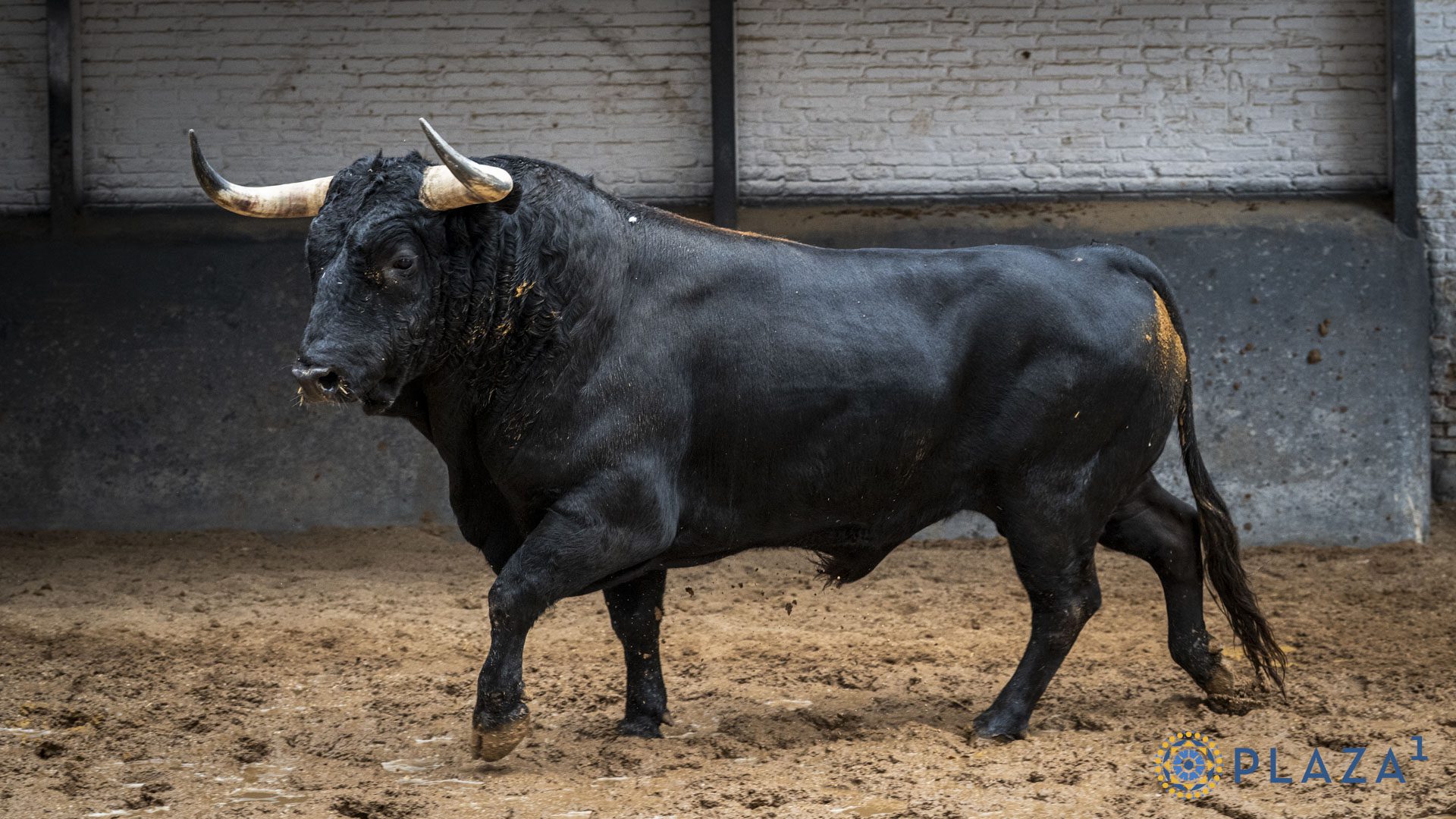Ebanista, de Victoriano del Río